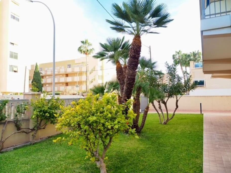 Playa Muchavista De 3 Hab Y Piscina Apartment